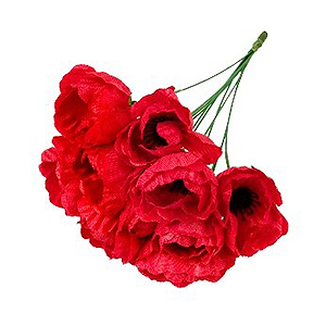 A bunch of poppies.