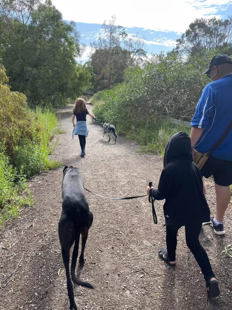 A man and two kids walking two dogs on country path