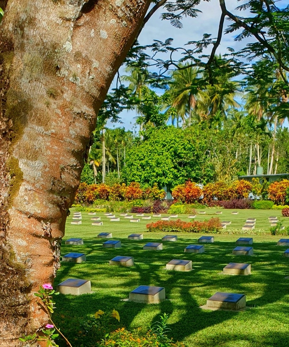 A solid tree trunk, thick branches and green leaves. In the background, to the right, there are war graves at the Bita Paka War Cemetery in Papua New Guinea.