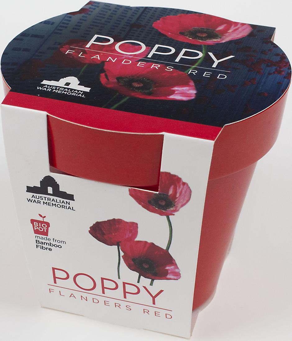 The Grow-your-own Flanders Red Poppy seedling kit. It is a red-coloured plastic pot and paper packaging, with the words: ‘Poppy — Flanders Red’.