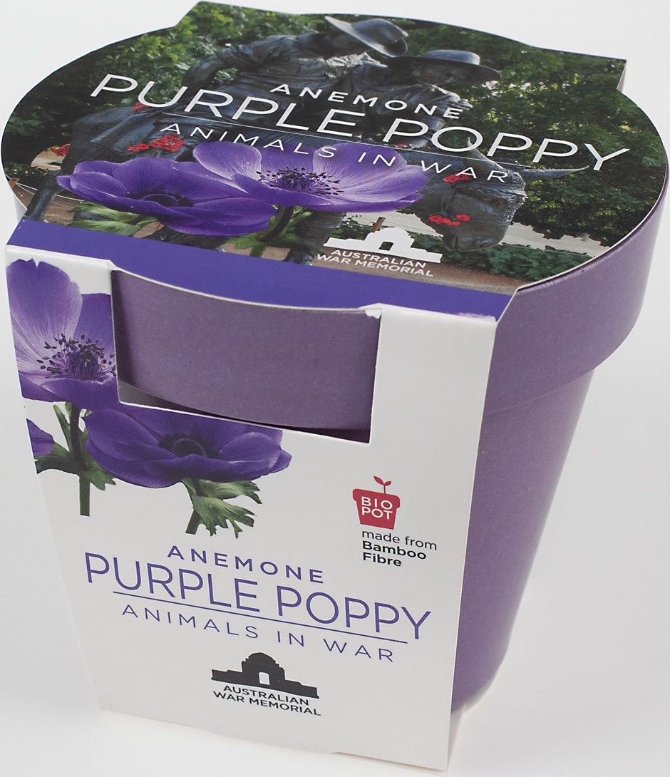 The Grow-your-own Purple Poppy seedling kit. It is a purple-coloured plastic pot and paper packaging, with the words: ‘Anemone Purple Poppy — Animals in War’.