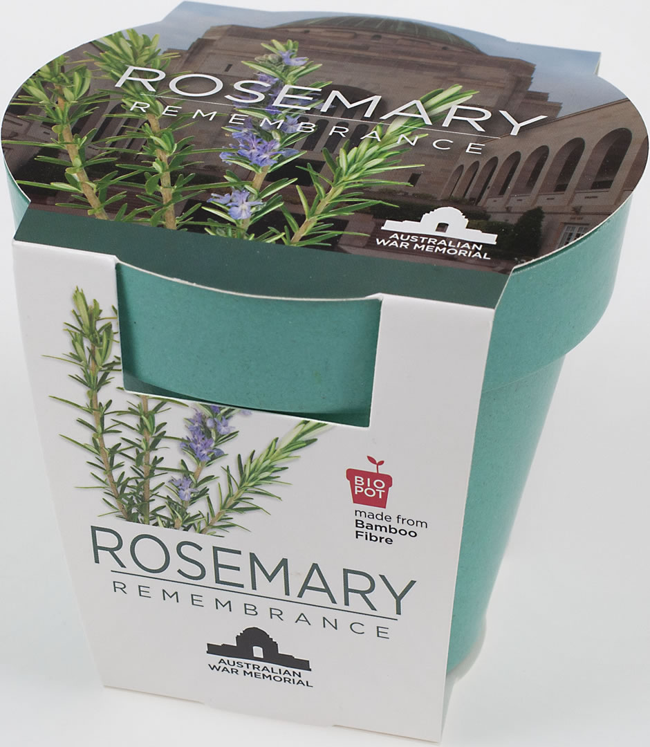 The Grow-your-own Rosemary seedling kit. It is a teal-coloured plastic pot and paper packaging, with the words: ‘Rosemary — Remembrance’.