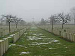 Rows of headstones and trees on a foggy day. There is some snow on the ground