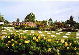 Headstones in a field surrounded by flowers and trees