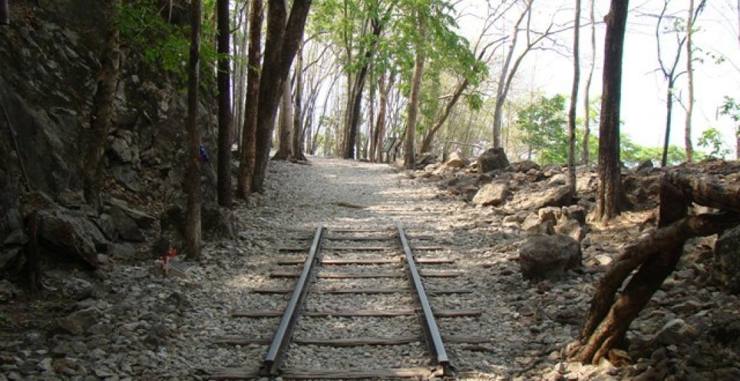 Short stretch of train track on gravel as part of cutting with forest in the background