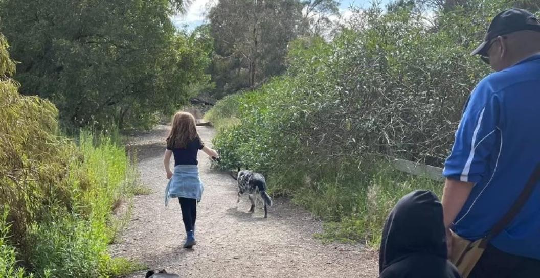 A man and two kids walking two dogs on country path
