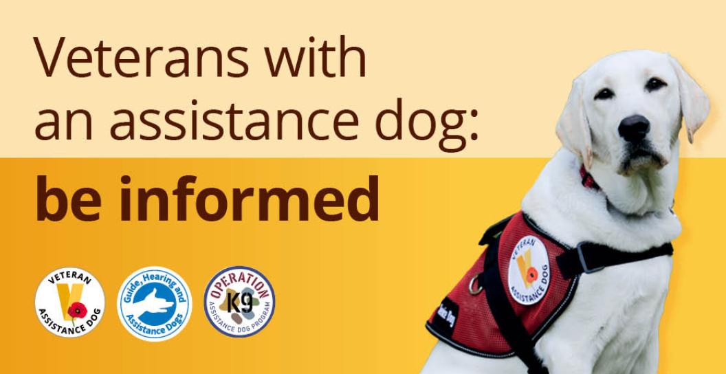 The words "Veterans with an assistance dog: be informed" appear on a yellow coloured background. A yellow labrador assistance dog wearing a red vest is to the right of the words.