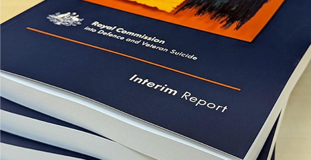 Royal Commission Interim Report