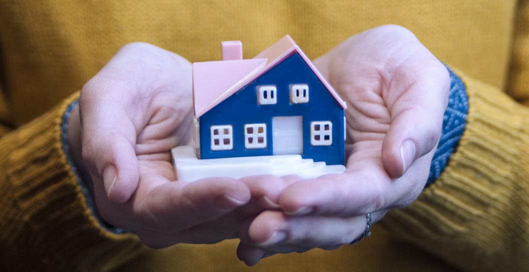 House in hands