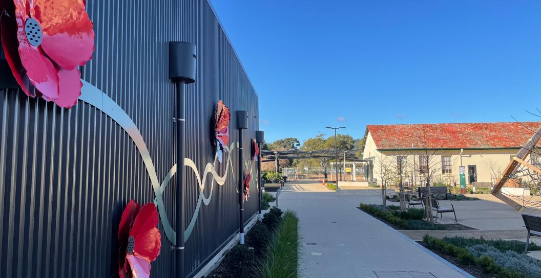 Poppies on a wall at a Veterans' and Families' Hub