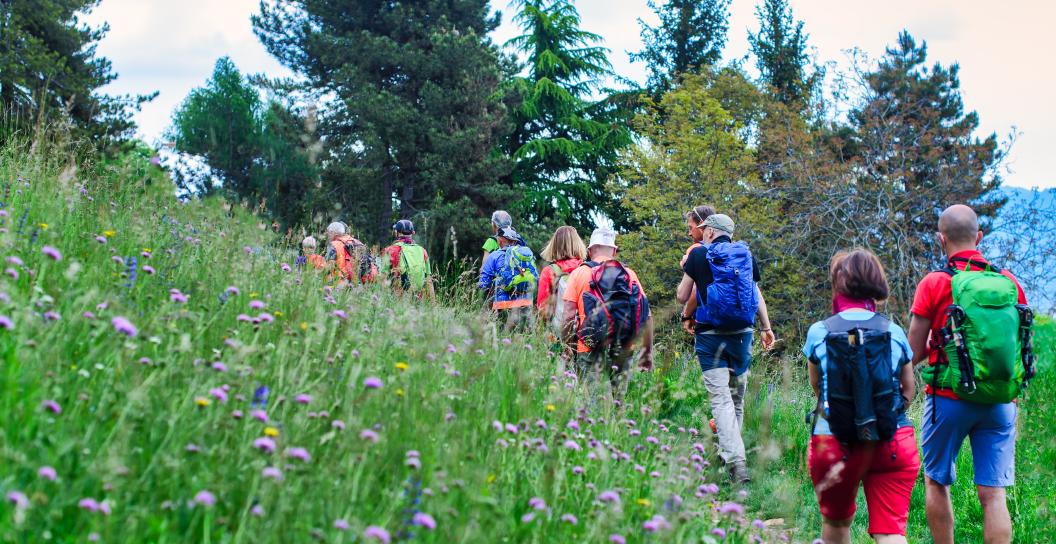 A group of people are hiking on a grassy hill