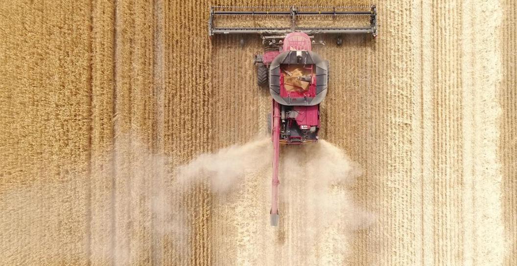 Overhead photo of a grain header doing its work