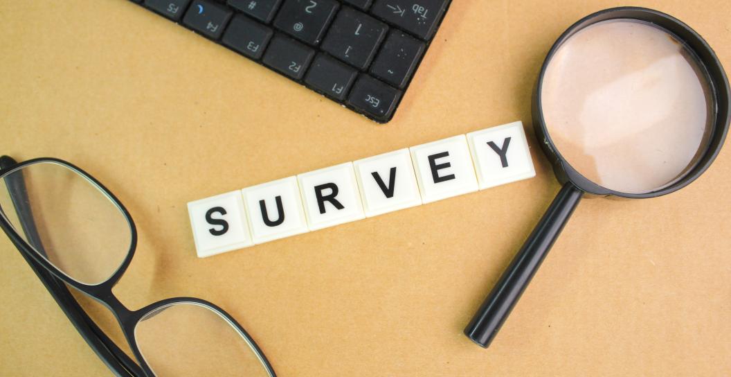 Survey