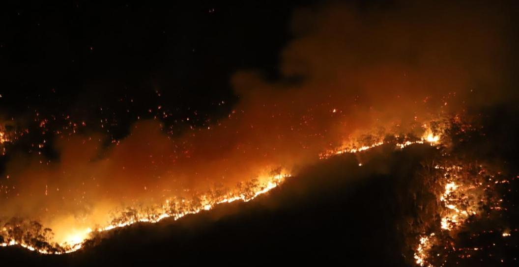 Night shot of bushfire