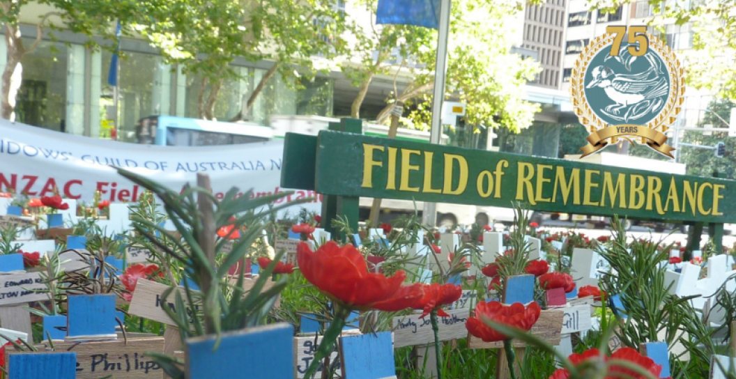 Row of poppies with timber crosses with people's names on them. A large sign reads Field of Remembrance.
