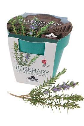 Box with the word Rosemary on it, next to sprig of rosemary