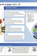 Screen shot of the DVA Corporate Plan on a page.