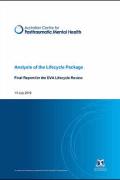 Cover of Analysis of the Lifecycle Package